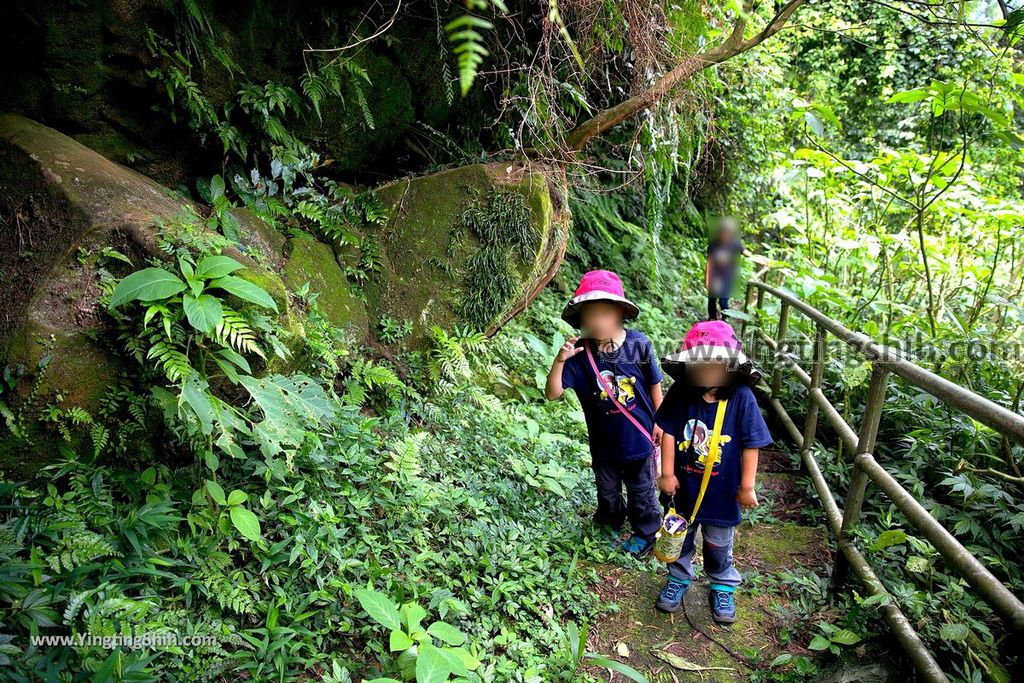 YTS_YTS_20190901_新北深坑烏月山登山步道／道祖宮New Taipei Shenkeng Wuyueshan Trail035_539A2508.jpg