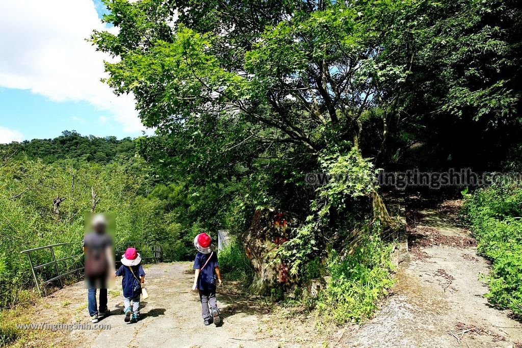 YTS_YTS_20190901_新北深坑烏月山登山步道／道祖宮New Taipei Shenkeng Wuyueshan Trail049_539A2572.jpg