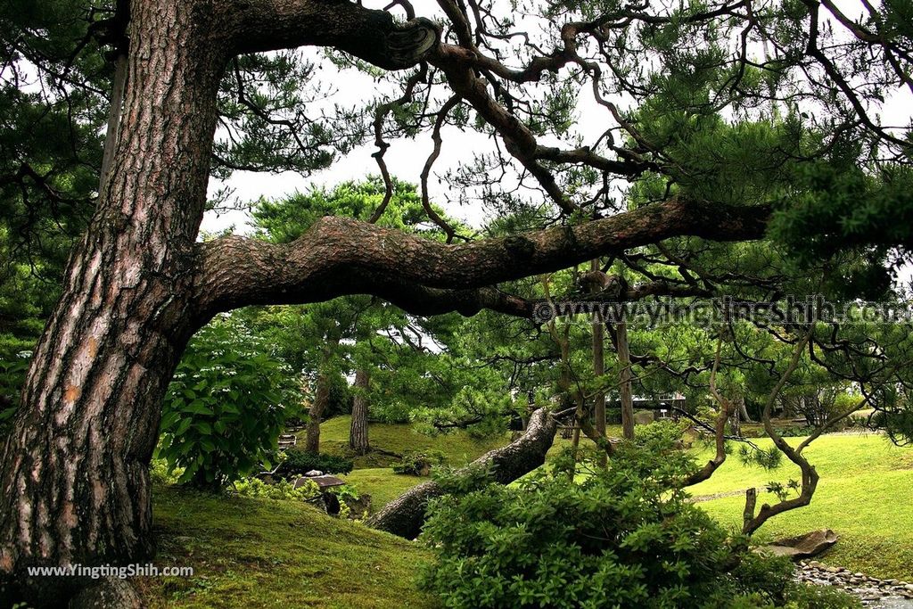 YTS_YTS_20190719_日本東北秋田如斯亭庭園／佐竹氏別邸／國指定名勝Japan Tohoku Akita Joshitei058_539A1146.jpg