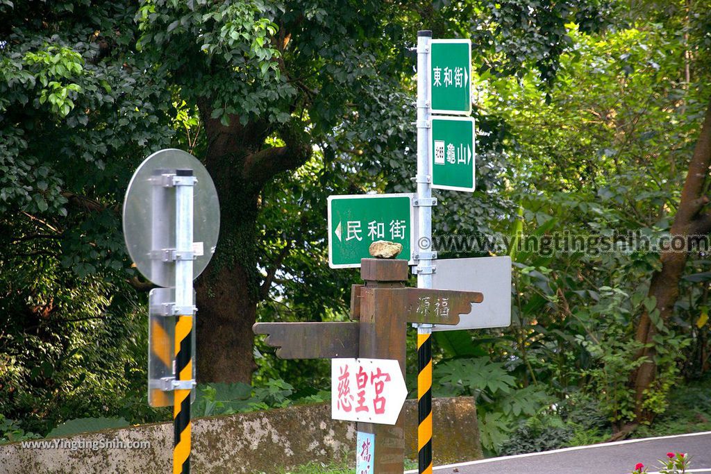 YTS_YTS_20190907_新北樹林百年榕樹／福源山步道New Taipei Shulin Centennial Old Banyan Tree021_539A3428.jpg