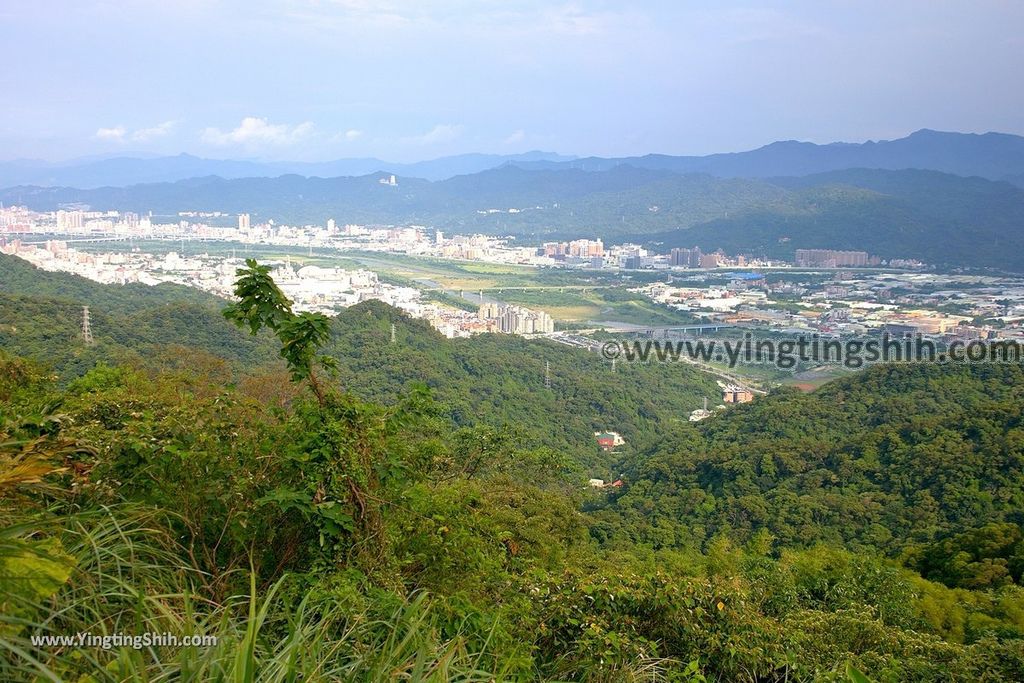 YTS_YTS_20190907_新北樹林百年榕樹／福源山步道New Taipei Shulin Centennial Old Banyan Tree031_539A3446.jpg