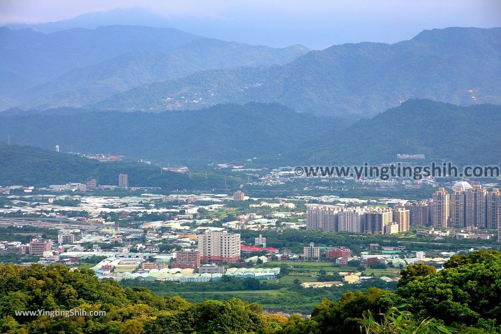 YTS_YTS_20190907_新北樹林百年榕樹／福源山步道New Taipei Shulin Centennial Old Banyan Tree033_539A3454.jpg