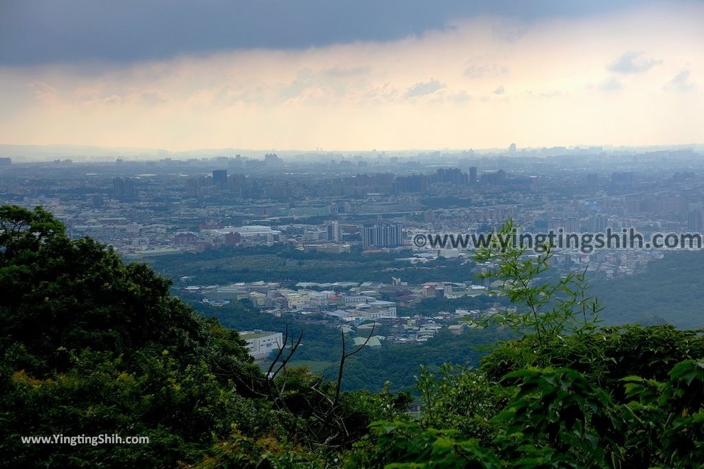 YTS_YTS_20190907_新北樹林百年榕樹／福源山步道New Taipei Shulin Centennial Old Banyan Tree044_539A3511.jpg