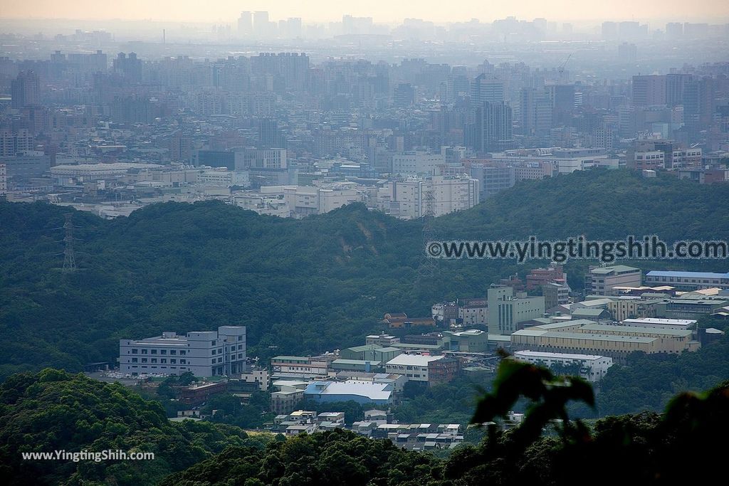 YTS_YTS_20190907_新北樹林百年榕樹／福源山步道New Taipei Shulin Centennial Old Banyan Tree045_539A3518.jpg