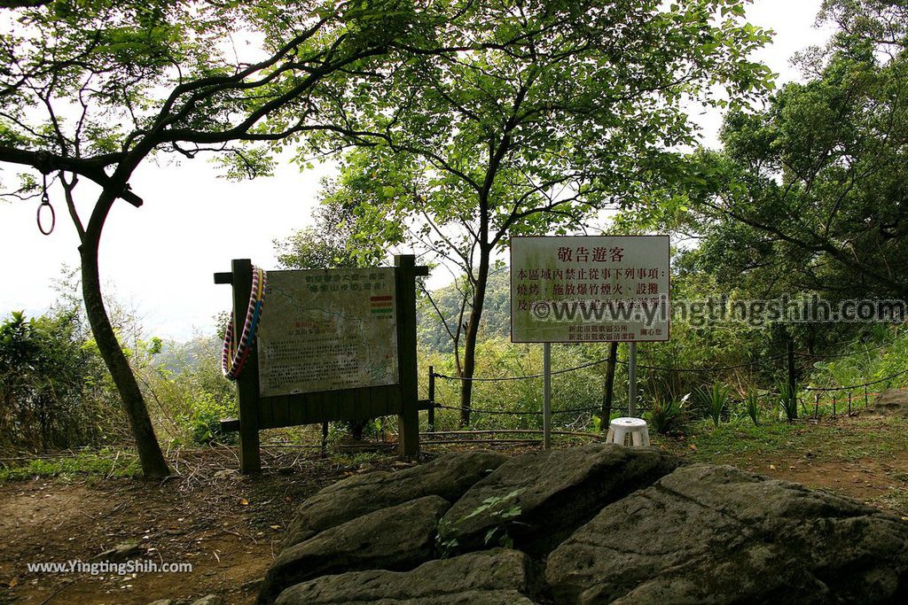 YTS_YTS_20190907_新北樹林百年榕樹／福源山步道New Taipei Shulin Centennial Old Banyan Tree054_539A3530.jpg