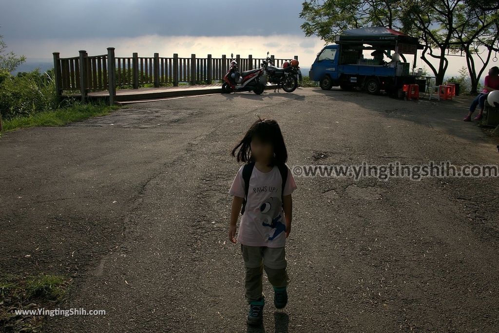 YTS_YTS_20190907_新北樹林百年榕樹／福源山步道New Taipei Shulin Centennial Old Banyan Tree082_539A3623.jpg