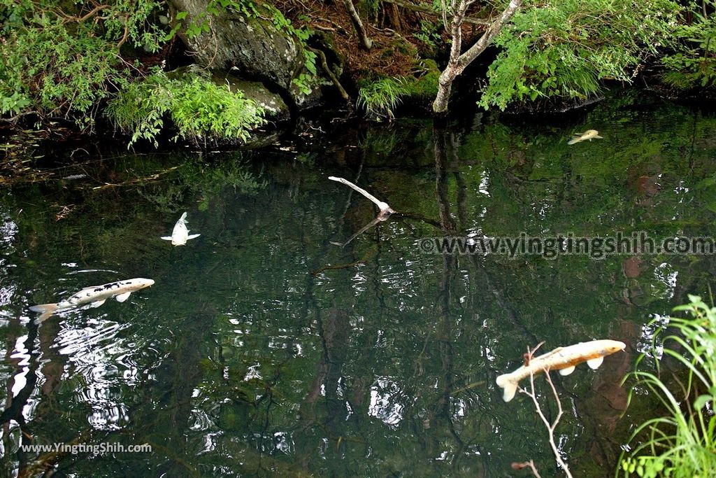 YTS_YTS_20190814_日本東北福島五色沼湖沼群／毘沙門沼／赤沼／滝沼／裏磐梯遊客中心Japan Tohoku Fukushima Goshiki-numa Ponds163_539A2223.jpg