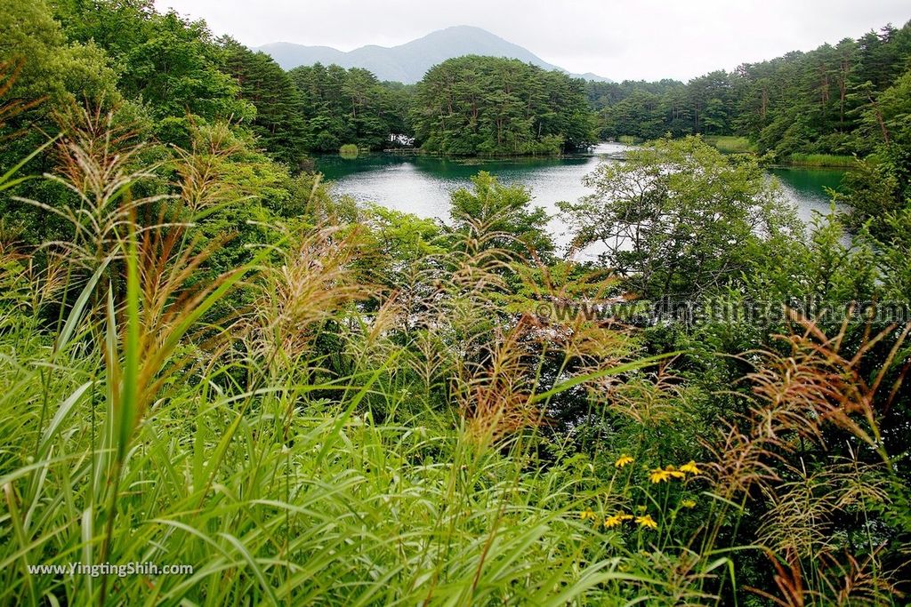 YTS_YTS_20190814_日本東北福島五色沼湖沼群／毘沙門沼／赤沼／滝沼／裏磐梯遊客中心Japan Tohoku Fukushima Goshiki-numa Ponds185_539A2283.jpg