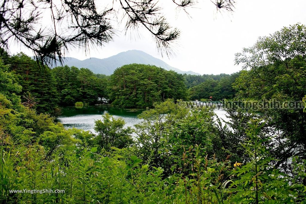 YTS_YTS_20190814_日本東北福島五色沼湖沼群／毘沙門沼／赤沼／滝沼／裏磐梯遊客中心Japan Tohoku Fukushima Goshiki-numa Ponds186_539A2297.jpg