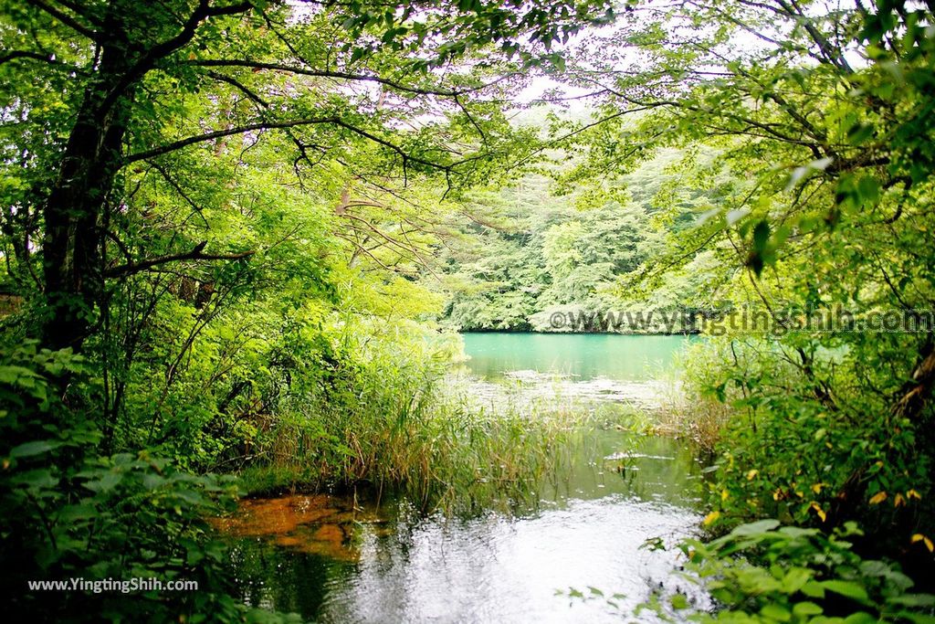 YTS_YTS_20190814_日本東北福島五色沼湖沼群／毘沙門沼／赤沼／滝沼／裏磐梯遊客中心Japan Tohoku Fukushima Goshiki-numa Ponds191_539A2314.jpg