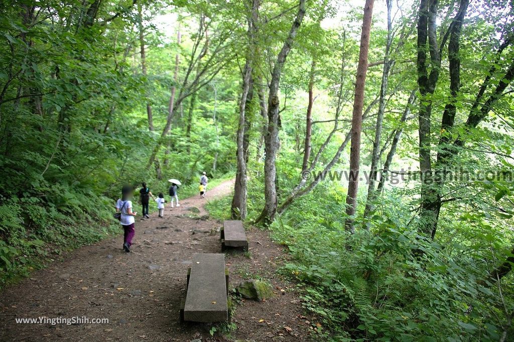 YTS_YTS_20190814_日本東北福島五色沼湖沼群／毘沙門沼／赤沼／滝沼／裏磐梯遊客中心Japan Tohoku Fukushima Goshiki-numa Ponds205_539A2358.jpg