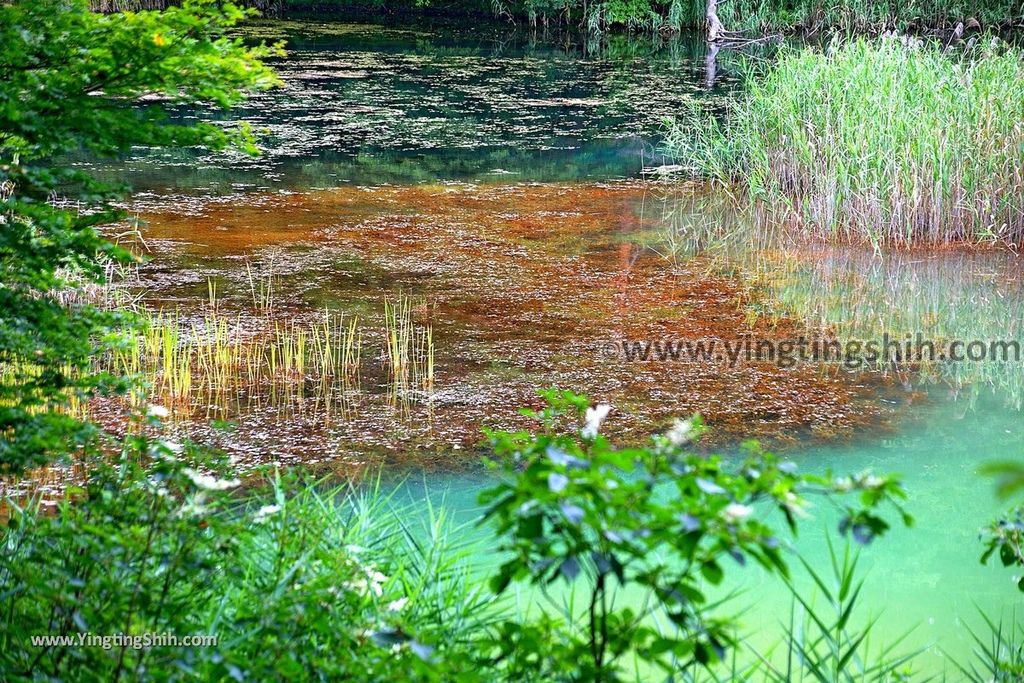 YTS_YTS_20190814_日本東北福島五色沼湖沼群／毘沙門沼／赤沼／滝沼／裏磐梯遊客中心Japan Tohoku Fukushima Goshiki-numa Ponds204_539A2335.jpg