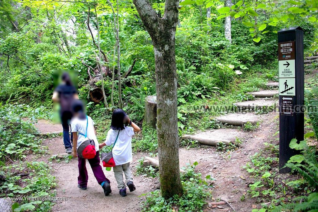 YTS_YTS_20190814_日本東北福島五色沼湖沼群／毘沙門沼／赤沼／滝沼／裏磐梯遊客中心Japan Tohoku Fukushima Goshiki-numa Ponds220_539A2396.jpg