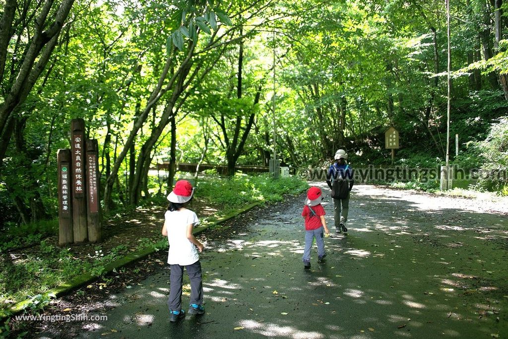 YTS_YTS_20190815_日本東北福島遠藤ヶ滝遊歩道／三日月瀑布／遠藤盛遠（文覺上人）Japan Tohoku Fukushima Endo Falls008_539A4978.jpg