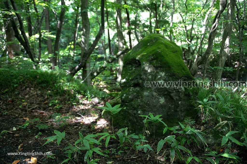 YTS_YTS_20190815_日本東北福島遠藤ヶ滝遊歩道／三日月瀑布／遠藤盛遠（文覺上人）Japan Tohoku Fukushima Endo Falls015_539A5003.jpg