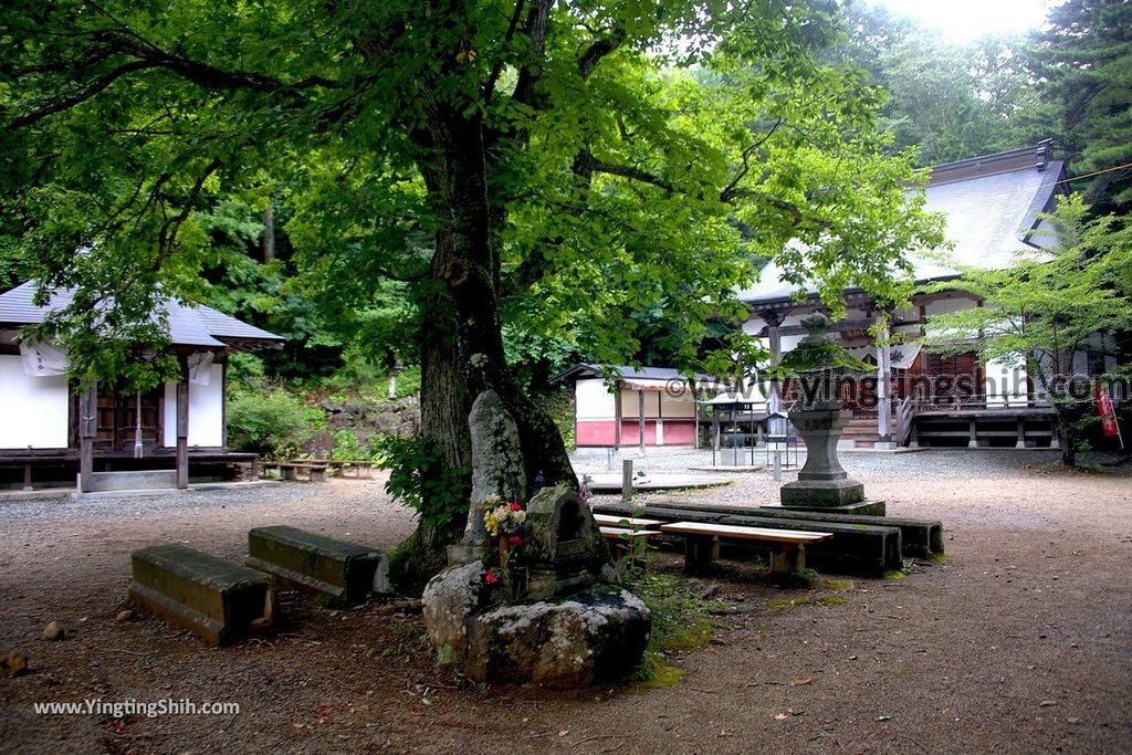 YTS_YTS_20190815_日本東北福島遠藤ヶ滝遊歩道／三日月瀑布／遠藤盛遠（文覺上人）Japan Tohoku Fukushima Endo Falls038_539A5025.jpg