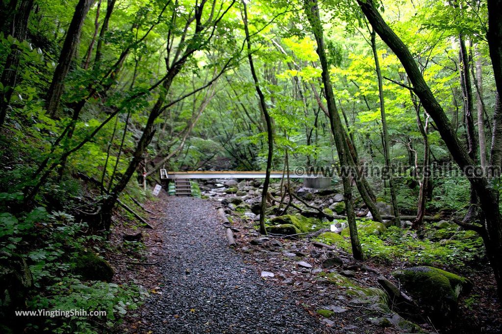 YTS_YTS_20190815_日本東北福島遠藤ヶ滝遊歩道／三日月瀑布／遠藤盛遠（文覺上人）Japan Tohoku Fukushima Endo Falls056_539A5057.jpg