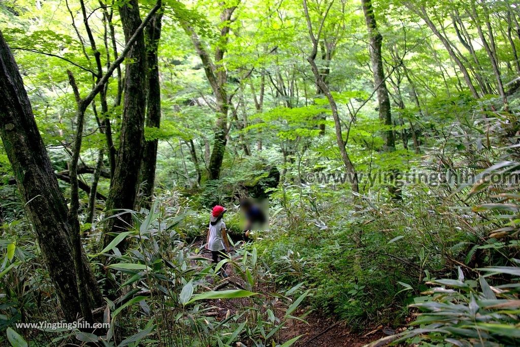 YTS_YTS_20190815_日本東北福島遠藤ヶ滝遊歩道／三日月瀑布／遠藤盛遠（文覺上人）Japan Tohoku Fukushima Endo Falls079_539A5111.jpg