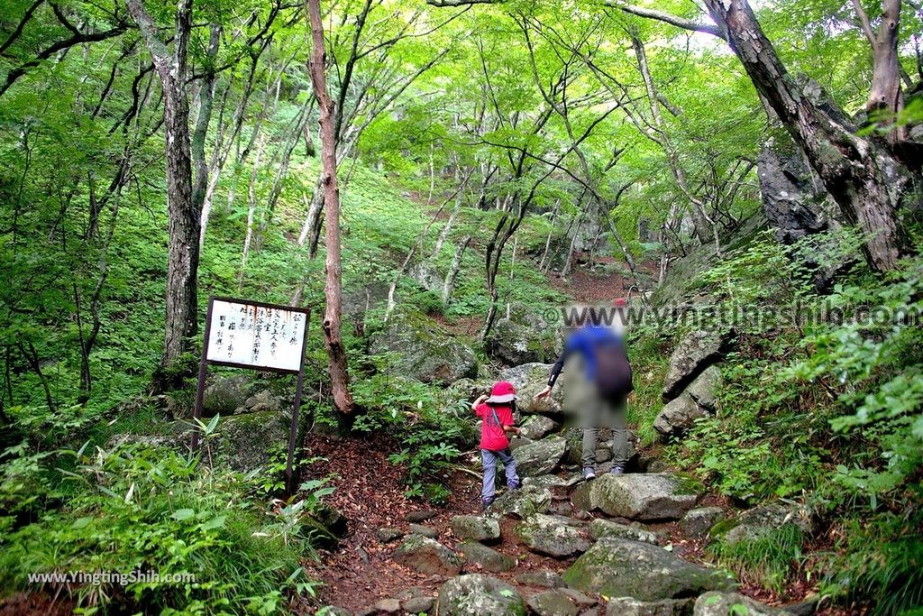 YTS_YTS_20190815_日本東北福島遠藤ヶ滝遊歩道／三日月瀑布／遠藤盛遠（文覺上人）Japan Tohoku Fukushima Endo Falls089_539A5161.jpg