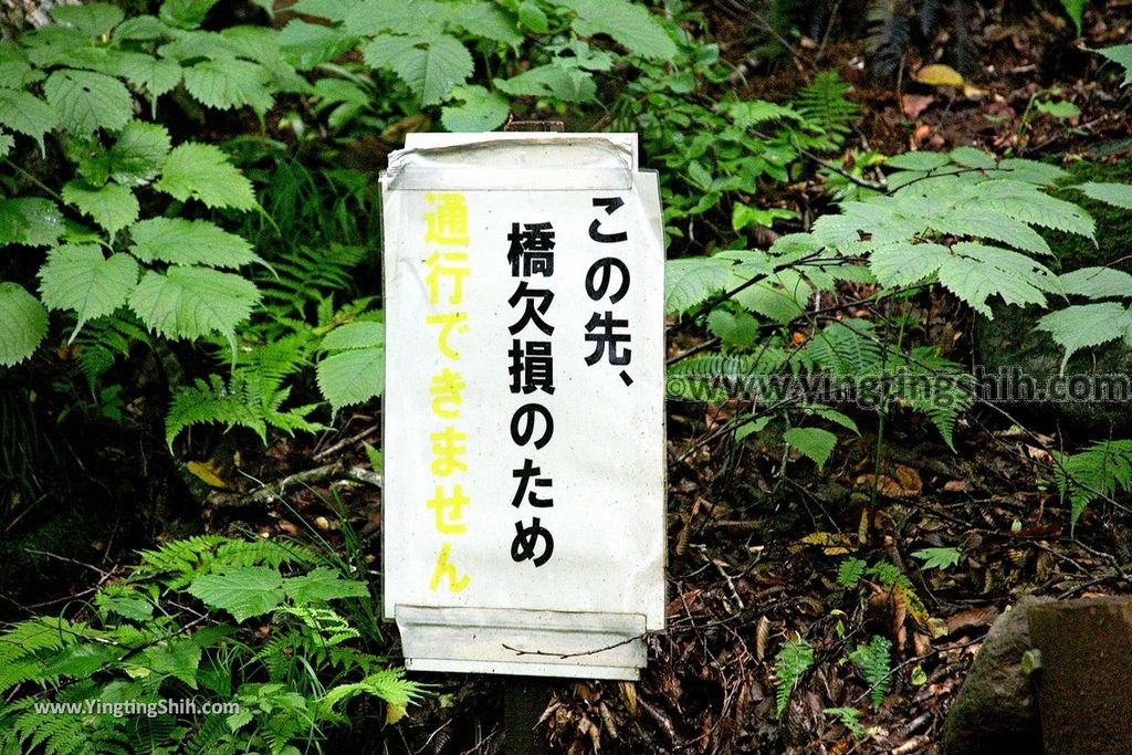 YTS_YTS_20190815_日本東北福島遠藤ヶ滝遊歩道／三日月瀑布／遠藤盛遠（文覺上人）Japan Tohoku Fukushima Endo Falls110_539A5375.jpg