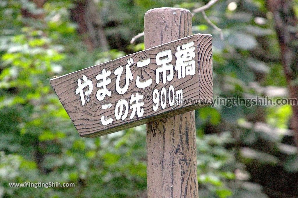 YTS_YTS_20190818_日本東北宮城長老湖Japan Tohoku Miyagi Choro Lake018_539A2958.jpg