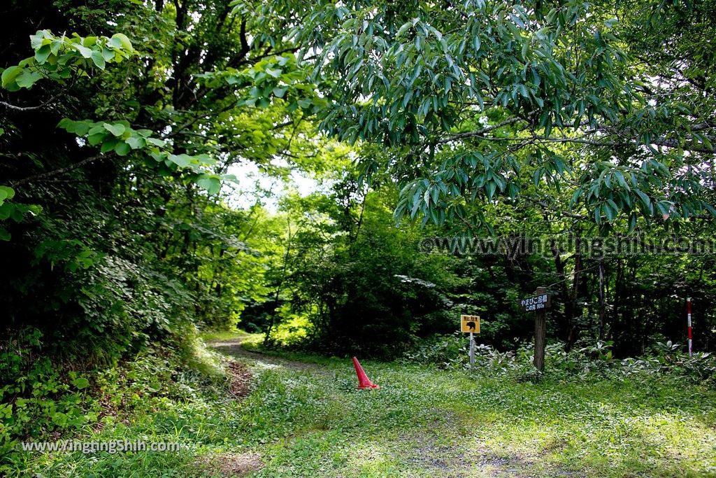 YTS_YTS_20190818_日本東北宮城長老湖Japan Tohoku Miyagi Choro Lake017_539A2957.jpg