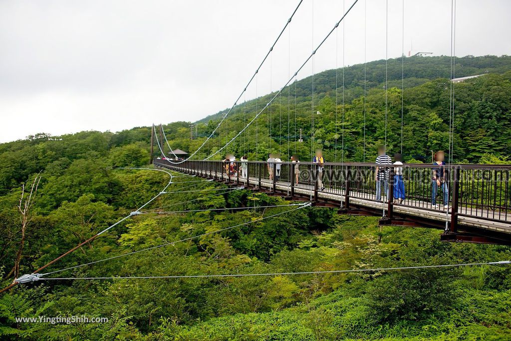 YTS_YTS_20190811_日本關東櫪木杜鵑花つつじ吊橋／八幡自然研究路Japan Kanto Tochigi Tsutsuji Suspension Bridge023_539A7938.jpg