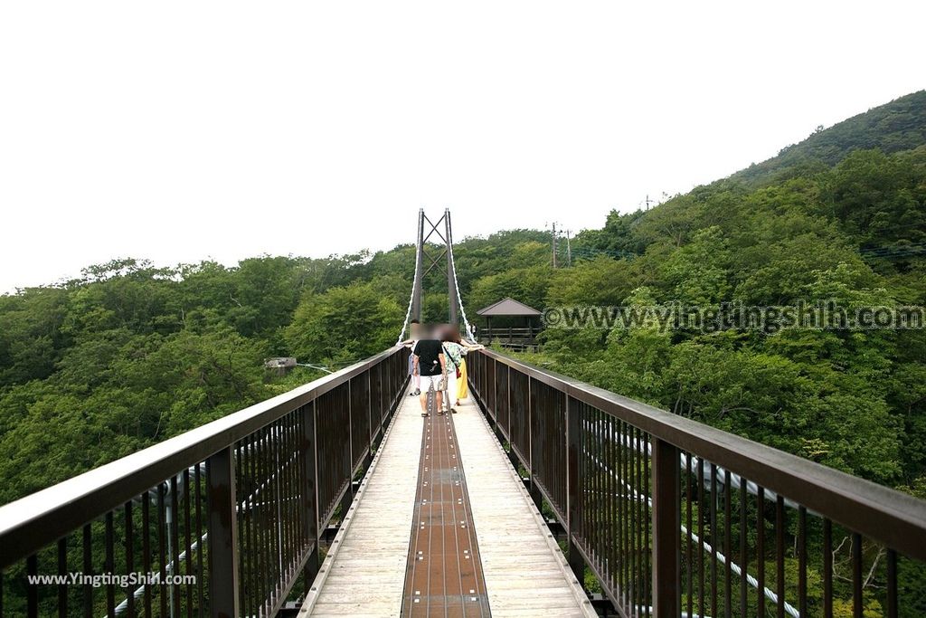 YTS_YTS_20190811_日本關東櫪木杜鵑花つつじ吊橋／八幡自然研究路Japan Kanto Tochigi Tsutsuji Suspension Bridge034_539A7996.jpg