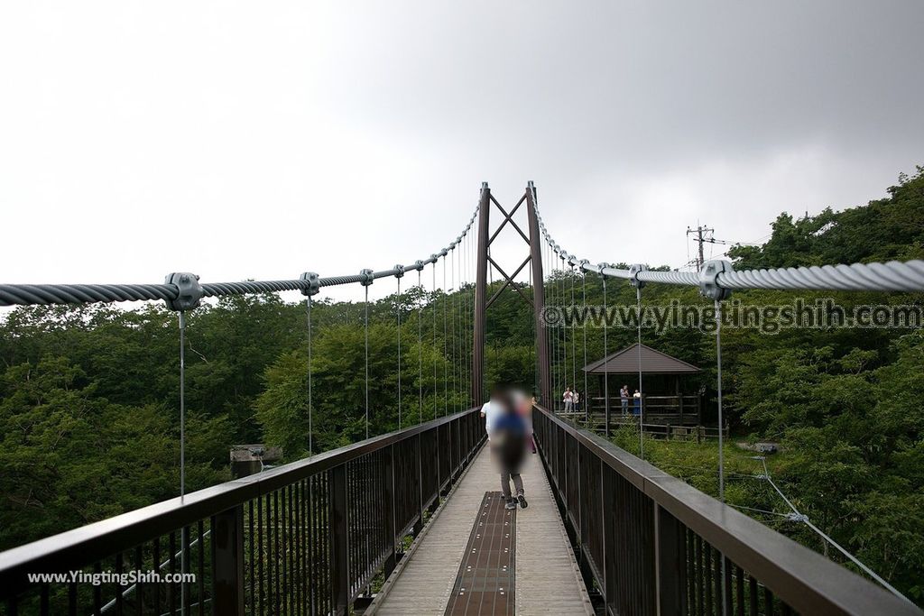 YTS_YTS_20190811_日本關東櫪木杜鵑花つつじ吊橋／八幡自然研究路Japan Kanto Tochigi Tsutsuji Suspension Bridge040_539A8025.jpg