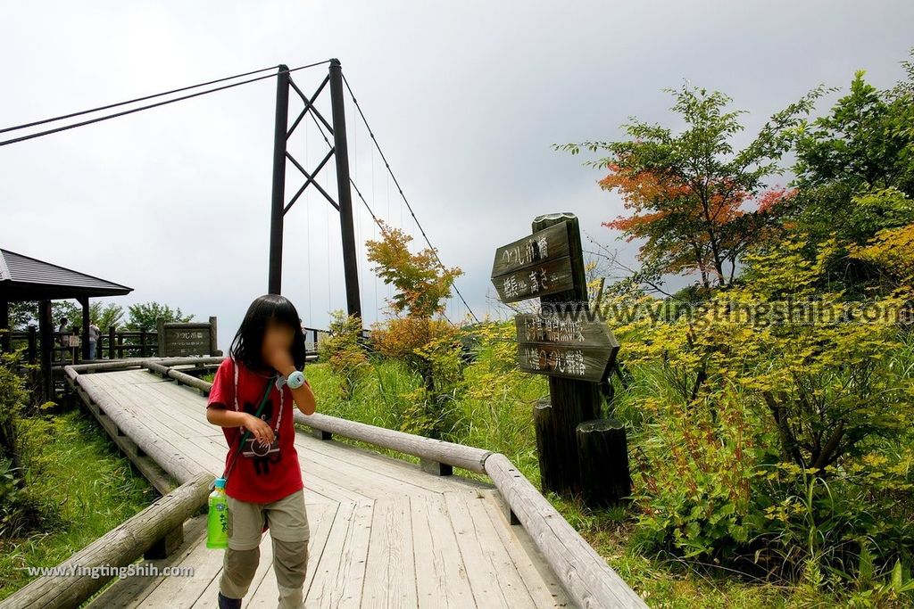 YTS_YTS_20190811_日本關東櫪木杜鵑花つつじ吊橋／八幡自然研究路Japan Kanto Tochigi Tsutsuji Suspension Bridge049_539A8142.jpg