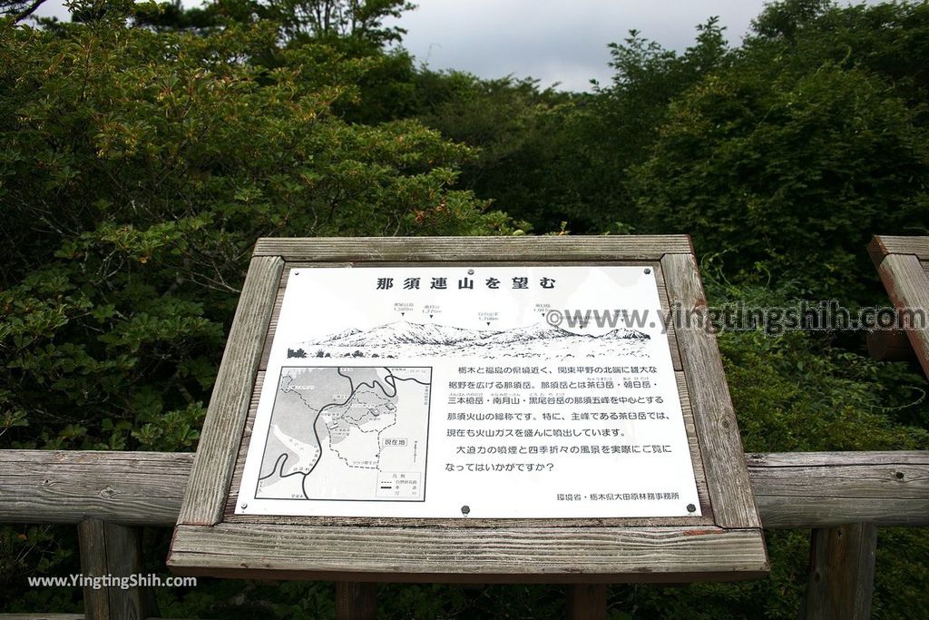 YTS_YTS_20190811_日本關東櫪木杜鵑花つつじ吊橋／八幡自然研究路Japan Kanto Tochigi Tsutsuji Suspension Bridge067_539A8171.jpg