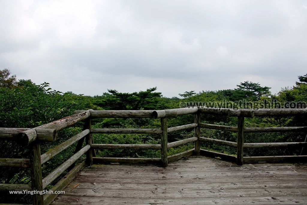 YTS_YTS_20190811_日本關東櫪木杜鵑花つつじ吊橋／八幡自然研究路Japan Kanto Tochigi Tsutsuji Suspension Bridge070_539A8174.jpg