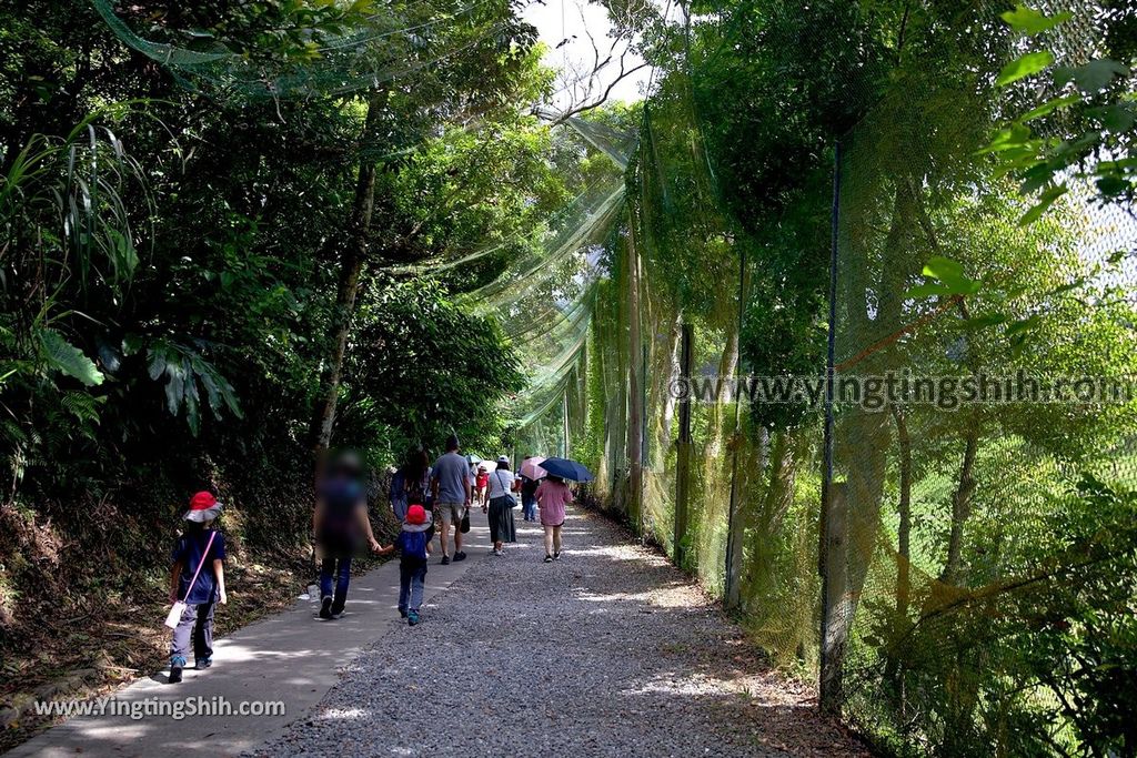 YTS_YTS_20190901_宜蘭礁溪林美石磐步道Yilan Jiaoxi Linmei Shipan Trail009_539A1852.jpg