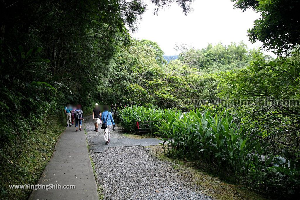 YTS_YTS_20190901_宜蘭礁溪林美石磐步道Yilan Jiaoxi Linmei Shipan Trail025_539A1882.jpg