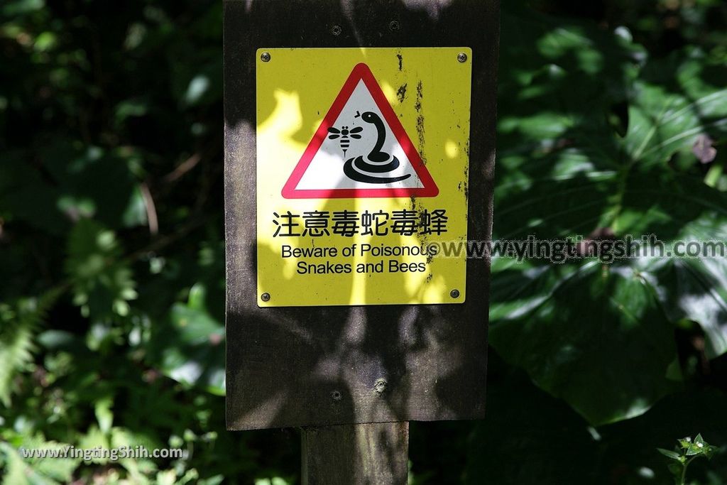 YTS_YTS_20190901_宜蘭礁溪林美石磐步道Yilan Jiaoxi Linmei Shipan Trail046_539A1913.jpg