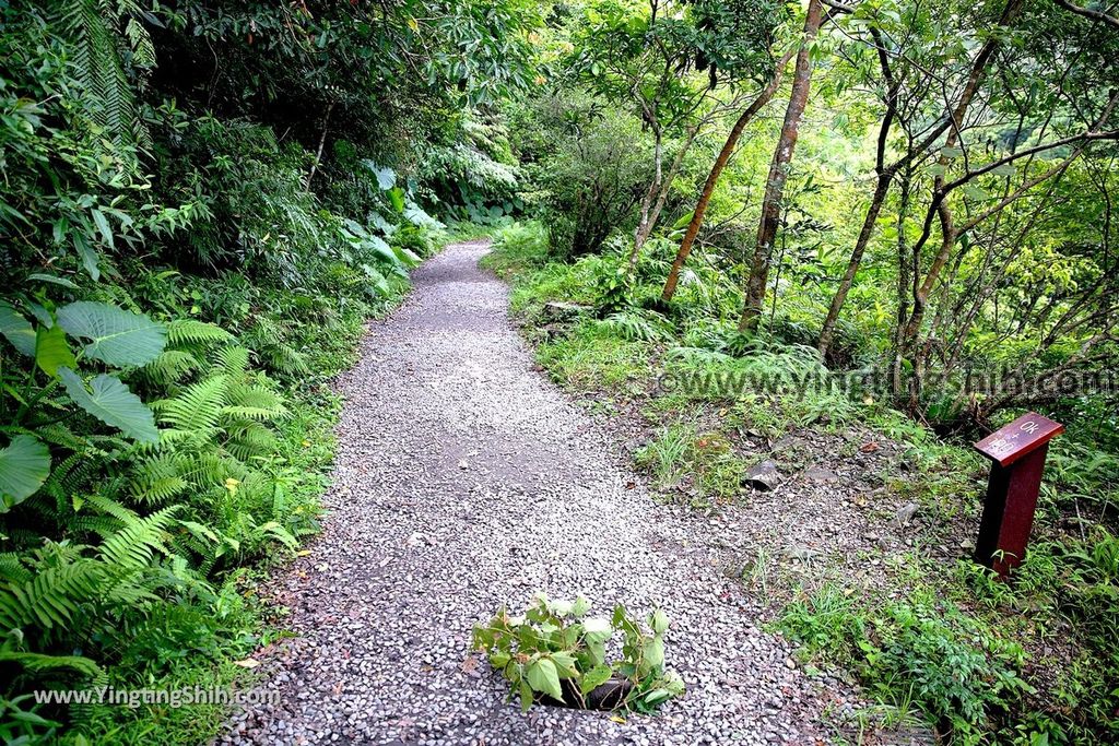 YTS_YTS_20190901_宜蘭礁溪林美石磐步道Yilan Jiaoxi Linmei Shipan Trail051_539A1918.jpg