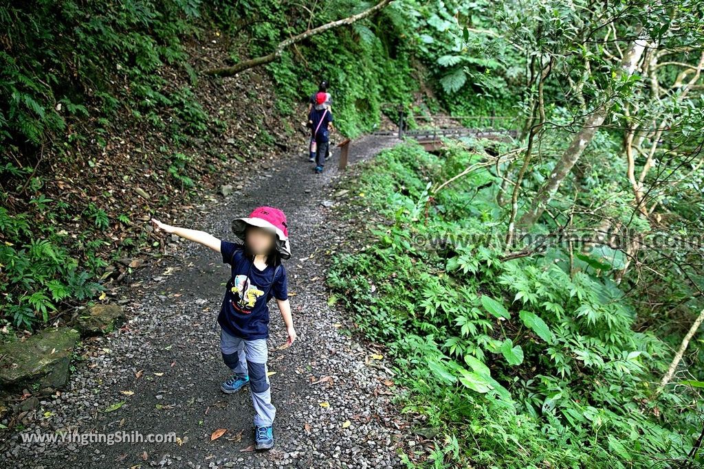 YTS_YTS_20190901_宜蘭礁溪林美石磐步道Yilan Jiaoxi Linmei Shipan Trail055_539A1923.jpg