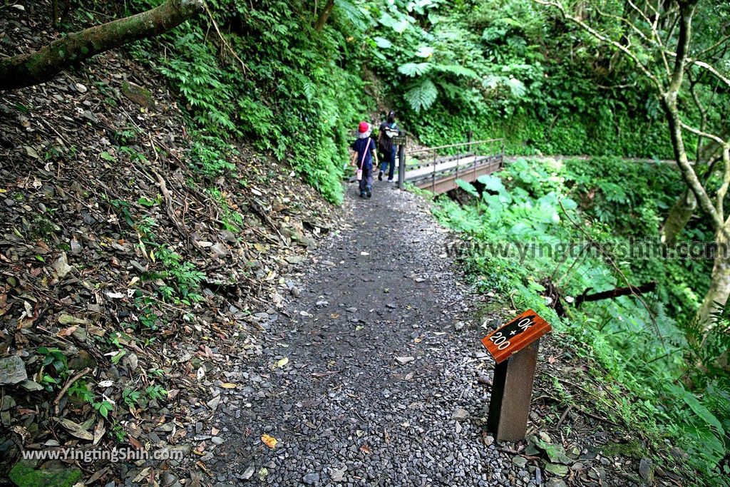 YTS_YTS_20190901_宜蘭礁溪林美石磐步道Yilan Jiaoxi Linmei Shipan Trail056_539A1924.jpg