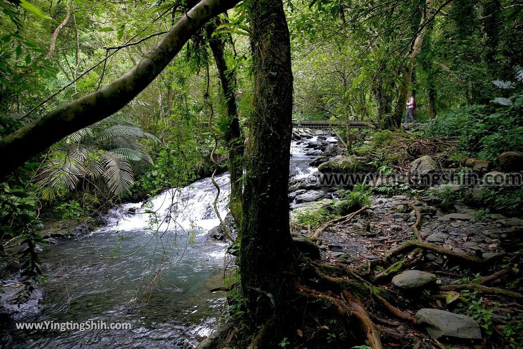 YTS_YTS_20190901_宜蘭礁溪林美石磐步道Yilan Jiaoxi Linmei Shipan Trail104_539A2362.jpg