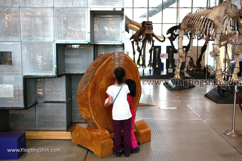 YTS_YTS_20190820_日本東北宮城スリーエム仙台市科学館Japan Tohoku Miyagi 3M Sendai City Science Museum034_539A5740.jpg