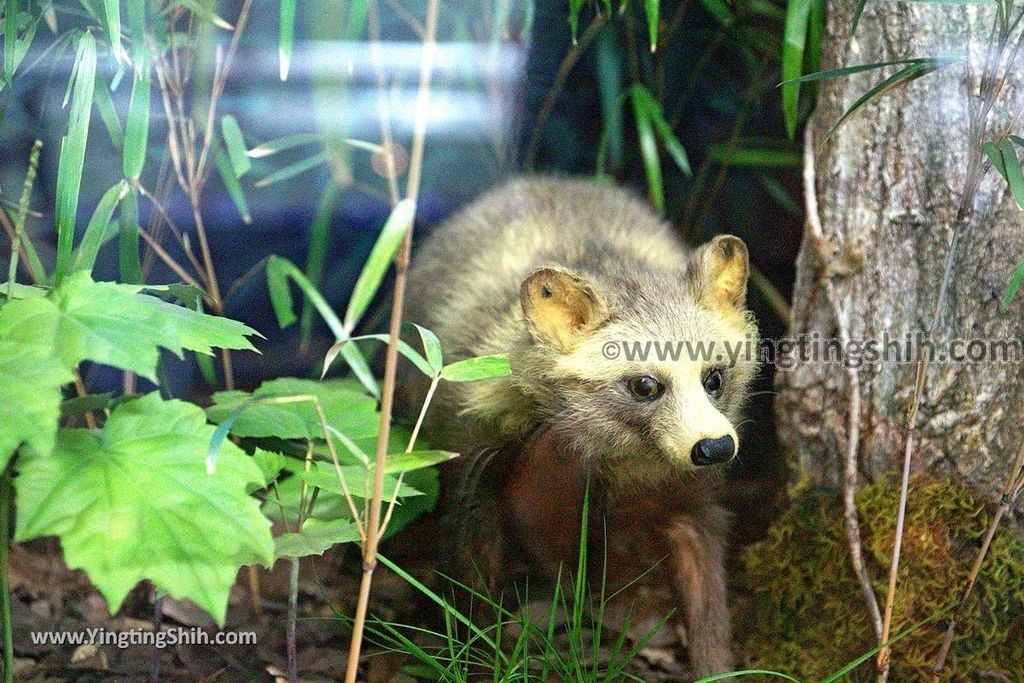 YTS_YTS_20190820_日本東北宮城スリーエム仙台市科学館Japan Tohoku Miyagi 3M Sendai City Science Museum041_539A5748.jpg