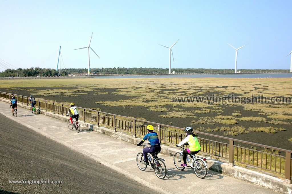 YTS_YTS_20191010_台中清水高美濕地／燈塔／觀景台／西安朝天宮Taichung Qingshui Gaomei Wetlands／Lighthouse029_539A9819.jpg