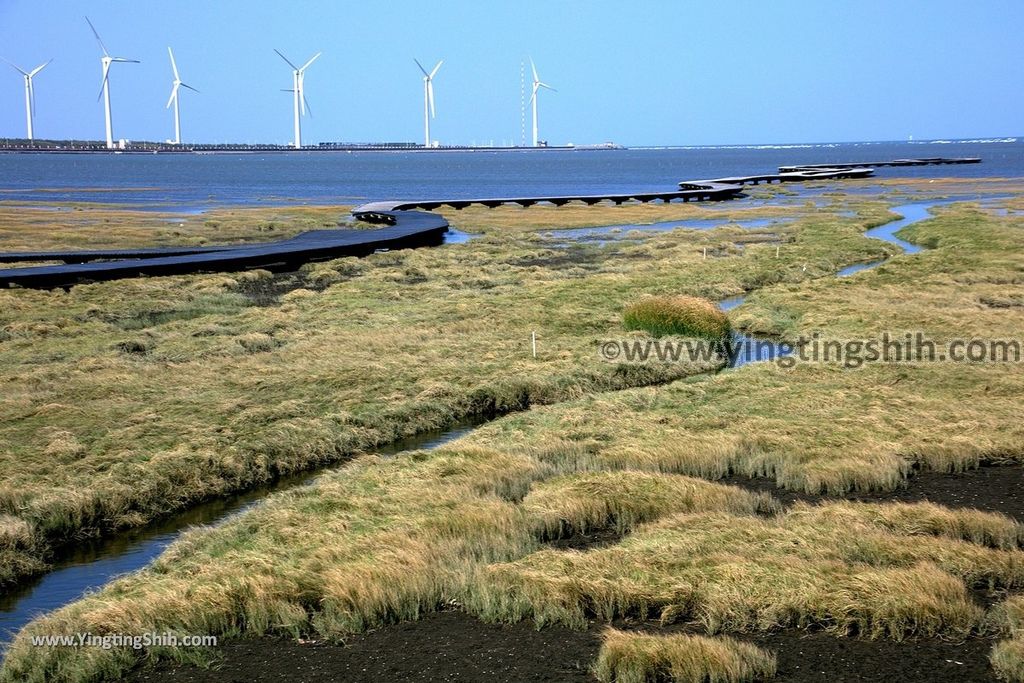 YTS_YTS_20191010_台中清水高美濕地／燈塔／觀景台／西安朝天宮Taichung Qingshui Gaomei Wetlands／Lighthouse099_539A9941.jpg