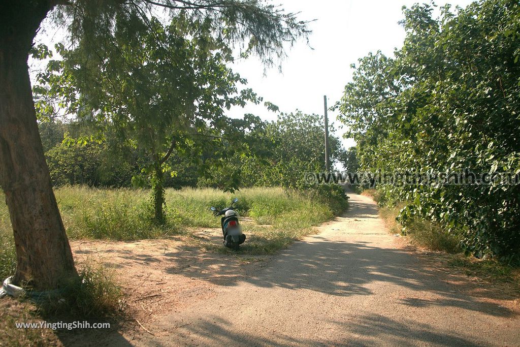 YTS_YTS_20191013_新竹香山海之聲／南港海岸灘地（野生動物保護區）Hsinchu Xiangshan Sound of the Sea009_539A5470.jpg