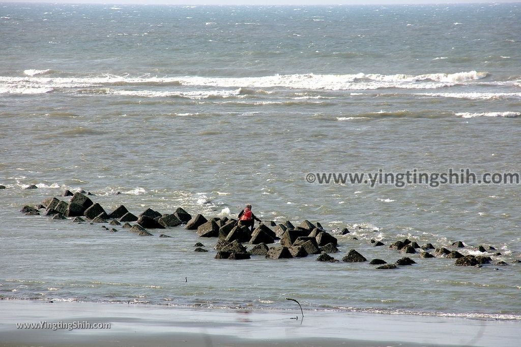 YTS_YTS_20191013_新竹香山海之聲／南港海岸灘地（野生動物保護區）Hsinchu Xiangshan Sound of the Sea021_539A5497.jpg