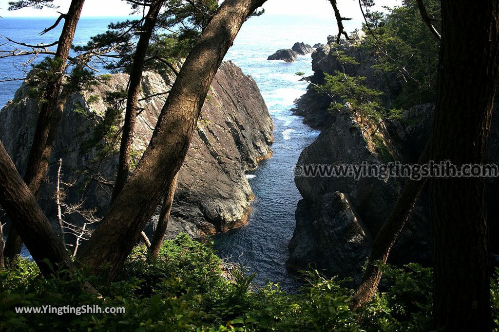 YTS_YTS_20190728_日本東北岩手大船渡碁石海岸／雷岩／亂曝谷Japan Tohoku Iwate Goishi Kaigan057_539A8842.jpg