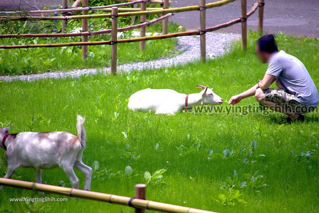 YTS_YTS_20190726_日本東北岩手陸奧民俗村／北上市立博物館Japan Tohoku Iwate Michinoku Folk Village058_539A4793.jpg