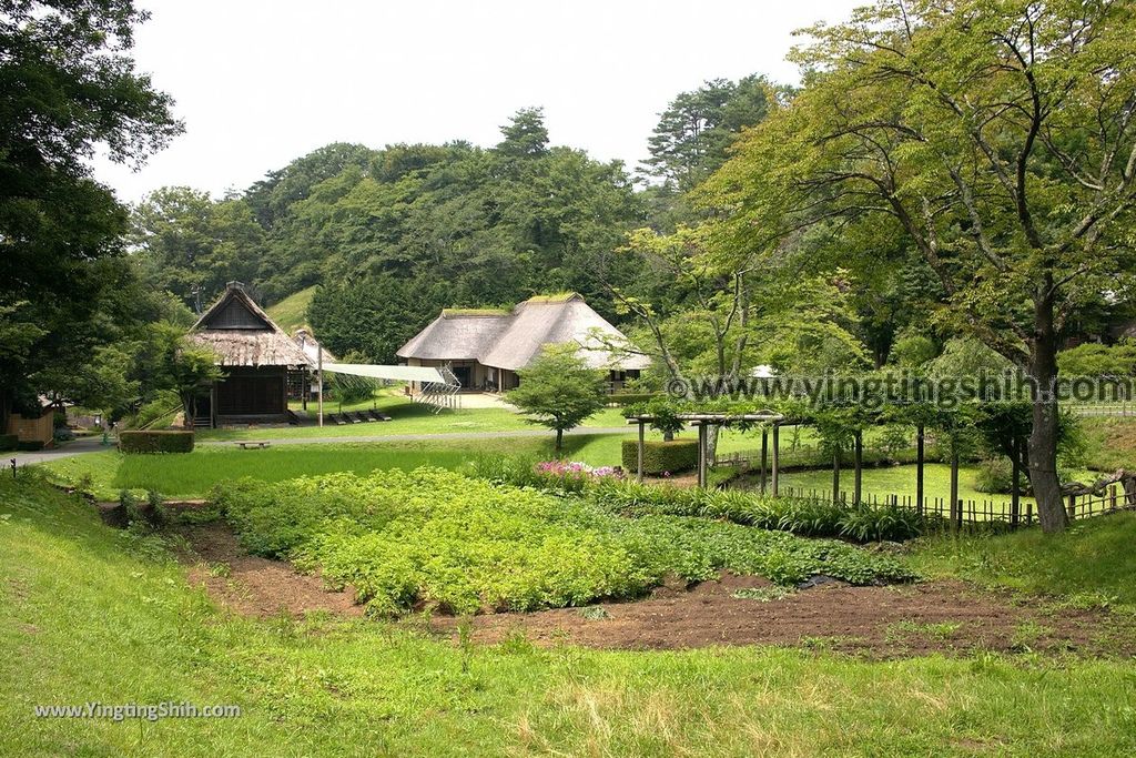 YTS_YTS_20190726_日本東北岩手陸奧民俗村／北上市立博物館Japan Tohoku Iwate Michinoku Folk Village198_539A4991.jpg