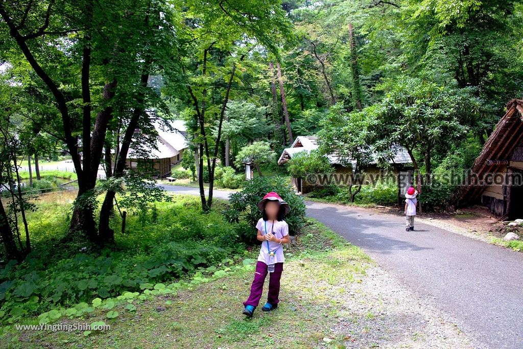 YTS_YTS_20190726_日本東北岩手陸奧民俗村／北上市立博物館Japan Tohoku Iwate Michinoku Folk Village290_539A5183.jpg