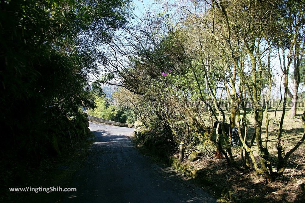 YTS_YTS_20190928_嘉義阿里山石棹資訊站／櫻之道步道／中興國小／石棹觀景台Chiayi Alishan Shizhuo Observation Deck／Sakura Trail041_539A6036.jpg